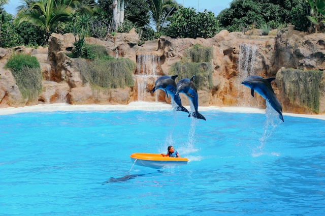 Loro Parque 1